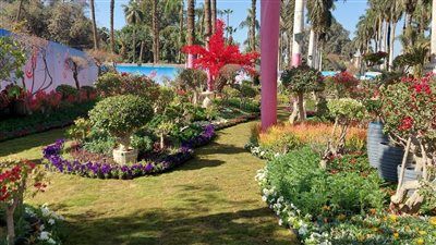 وزير الزراعة يعلن انطلاق الافتتاح التجريبي لمعرض زهور الربيع 2026 بالمتحف الزراعي - الخليج الان