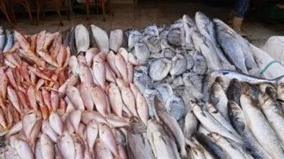 أسعار الأسماك في مصر مع زيادة الطلب خلال شم النسيم اليوم - الخليج الان