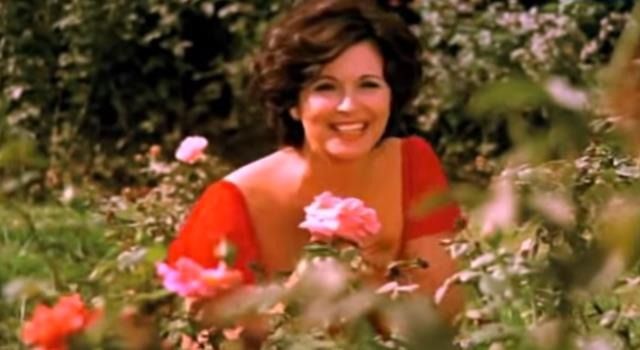 الربيع على الشاشة الكبيرة.. أفلام صنعت بهجة شم النسيم في السينما المصرية - الخليج الان