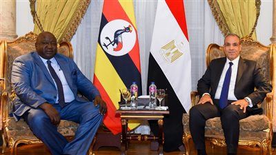 وزير الخارجية: نرفض الإجراءات الأحادية في حوض النيل الشرقي - الخليج الان