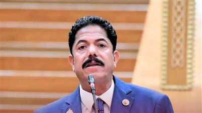 نائب "حماة الوطن": توجيهات الرئيس السيسي بشأن قوانين الأسرة خطوة حاسمة لحماية استقرار المجتمع وإنهاء أزمات الأحوال الشخصية - الخليج الان