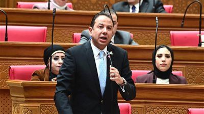 النائب حسن عمار يتقدم بطلب إحاطة بشأن تدهور أوضاع شركة بورسعيد لتداول الحاويات - الخليج الان