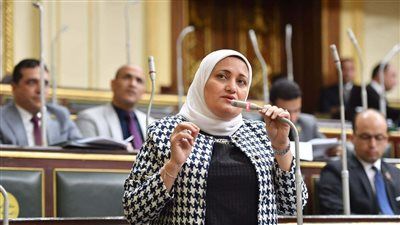 النائبة سناء السعيد تتقدم بسؤال برلماني بشأن تطبيق قرار العدادات الكودية بأثر رجعي - الخليج الان