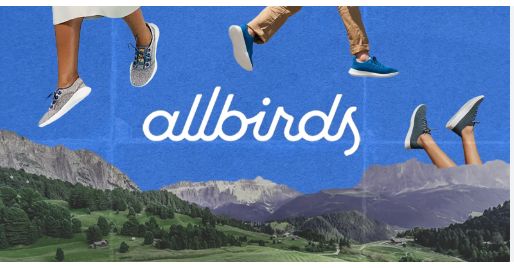 أسهم "اولبيردز" تقفز 580% بعد تحولها من الأحذية إلى الذكاء الاصطناعي