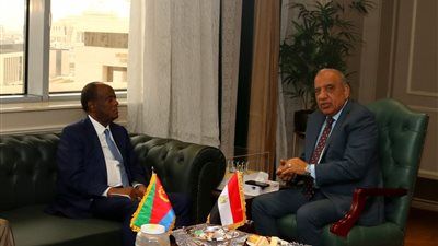 الكهرباء: دعم خطة التنمية المستدامة فى اريتريا وبرامج تدريبية لنقل الخبرات والدعم الفني - الخليج الان