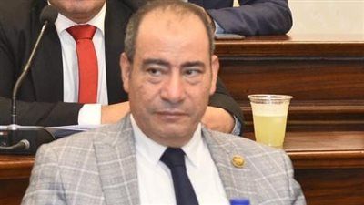 مجاهد نصار: توجيهات الرئيس السيسي بتطوير الإنتاج الحربي تعكس رؤية استراتيجية لتعزيز التصنيع الوطني - الخليج الان