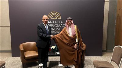 وزير الخارجية: المساس بسيادة السعودية والدول الخليجية مساساً مباشراً بالأمن القومي المصري والعربي - الخليج الان