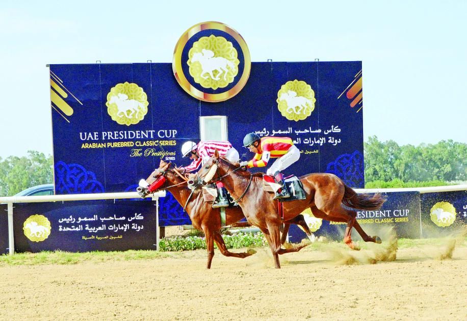 كأس رئيس الدولة للخيول العربية تدشّن النسخة الـ 33 من تونس