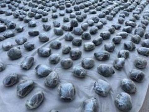 2.5 طن بـ 175 مليون جنيه.. ضبط تشكيل عصابي بتهمة جلب وتهريب المواد المخدرة - الخليج الان