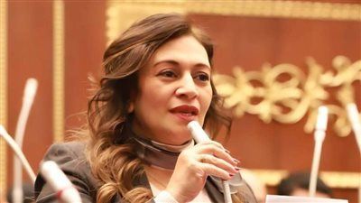 النائبة نيڤين فارس تتقدم باقتراح برغبة لتغيير النظرة المجتمعية للتعليم الفني في مصر - الخليج الان