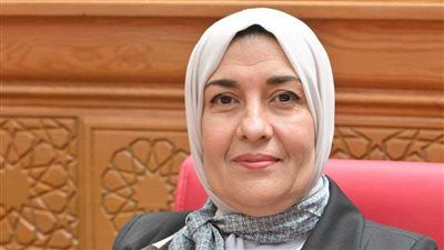 النائبة سناء أنور برغش تتقدم بطلب إحاطة بشأن وقف تسجيل المعاشات وتعطل خدمات التأمينات - الخليج الان