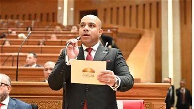 زيادة غير مبررة على المواطنين.. النائب علي خليفة يتقدم بطلب إحاطة لوقف “التعريفة الموحدة” للعدادات الكودية - الخليج الان