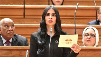 النائبة هايدي المغازي تطالب بإعادة النظر في نسب قبول أبناء المصريين بالخارج بالجامعات الحكومية - الخليج الان
