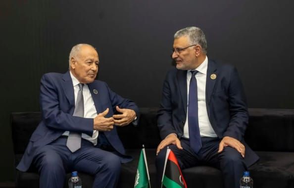 أبو الغيط: الأوضاع الإنسانية التي يعيشها ملايين اللاجئين في عدد من الدول العربية كارثية - الخليج الان