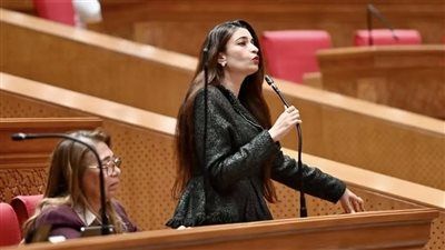 النائبة إيرين سعيد لـ برلمان تليجراف الخليج: قرار تطبيق العدادت الكودية غير عادل وظلم فئة كبيرة للشعب - الخليج الان