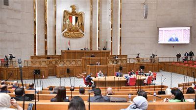 مدبولي من البرلمان: 2028 الاعتماد على 40% طاقة متجددة - الخليج الان