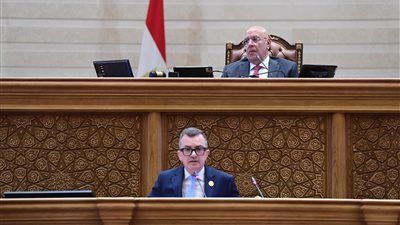وزير التخطيط يستعرض أمام البرلمان ملامح خطة التنمية 2026/2027 بنمو مستهدف 5.4% - الخليج الان