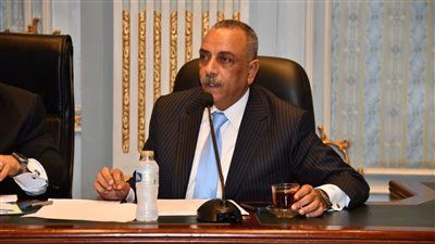بالتوافق.. اختيار الطماوي أمينًا للجنة التشريعية بالمجلس القومي لحقوق الإنسان - الخليج الان