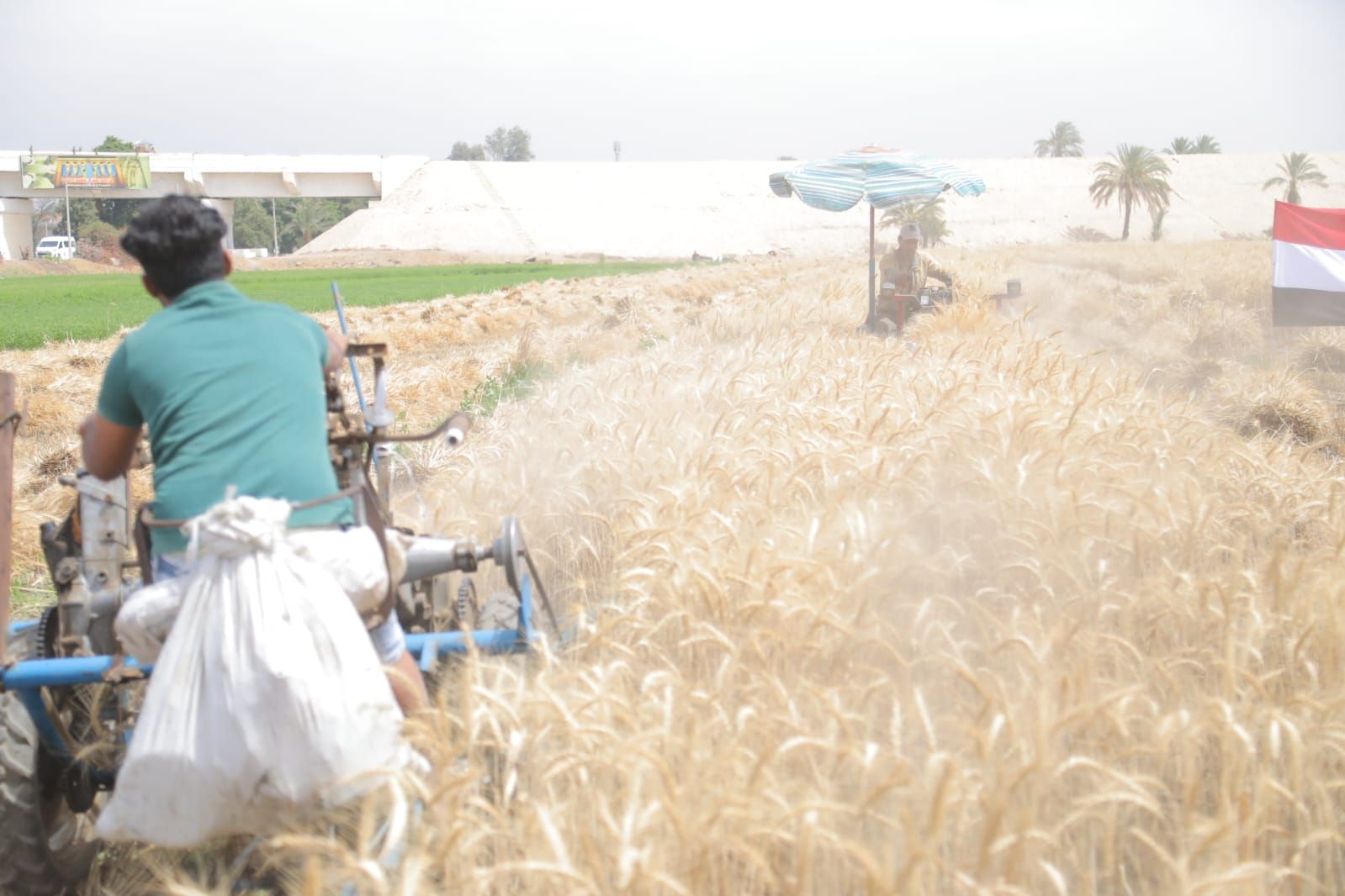 محافظ قنا يطلق إشارة بدء موسم حصاد القمح ويتفقد صومعة الترامسة - الخليج الان
