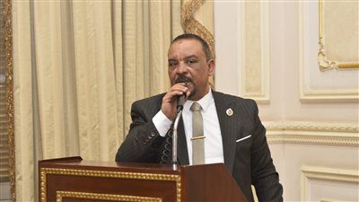 النائب أحمد حافظ: سيناء عنوان الصمود.. والتنمية الشاملة امتداد لانتصار الإرادة المصرية - الخليج الان