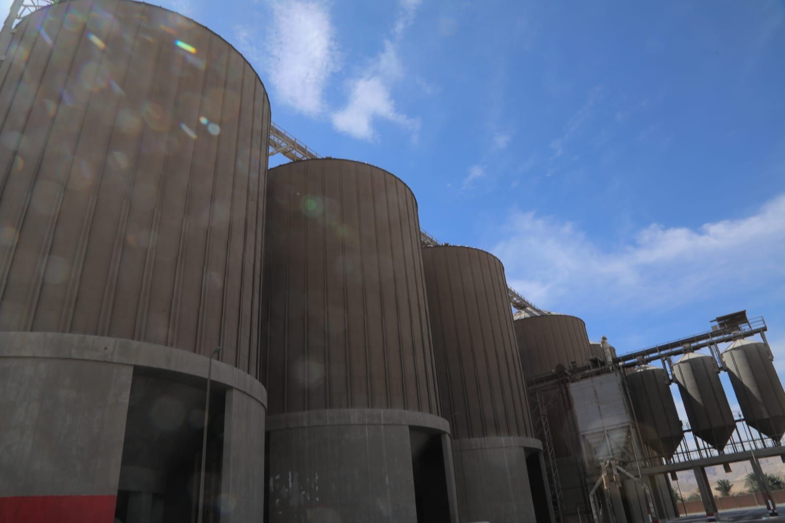 محافظ قنا يطلق إشارة بدء موسم حصاد القمح ويتفقد صومعة الترامسة - الخليج الان