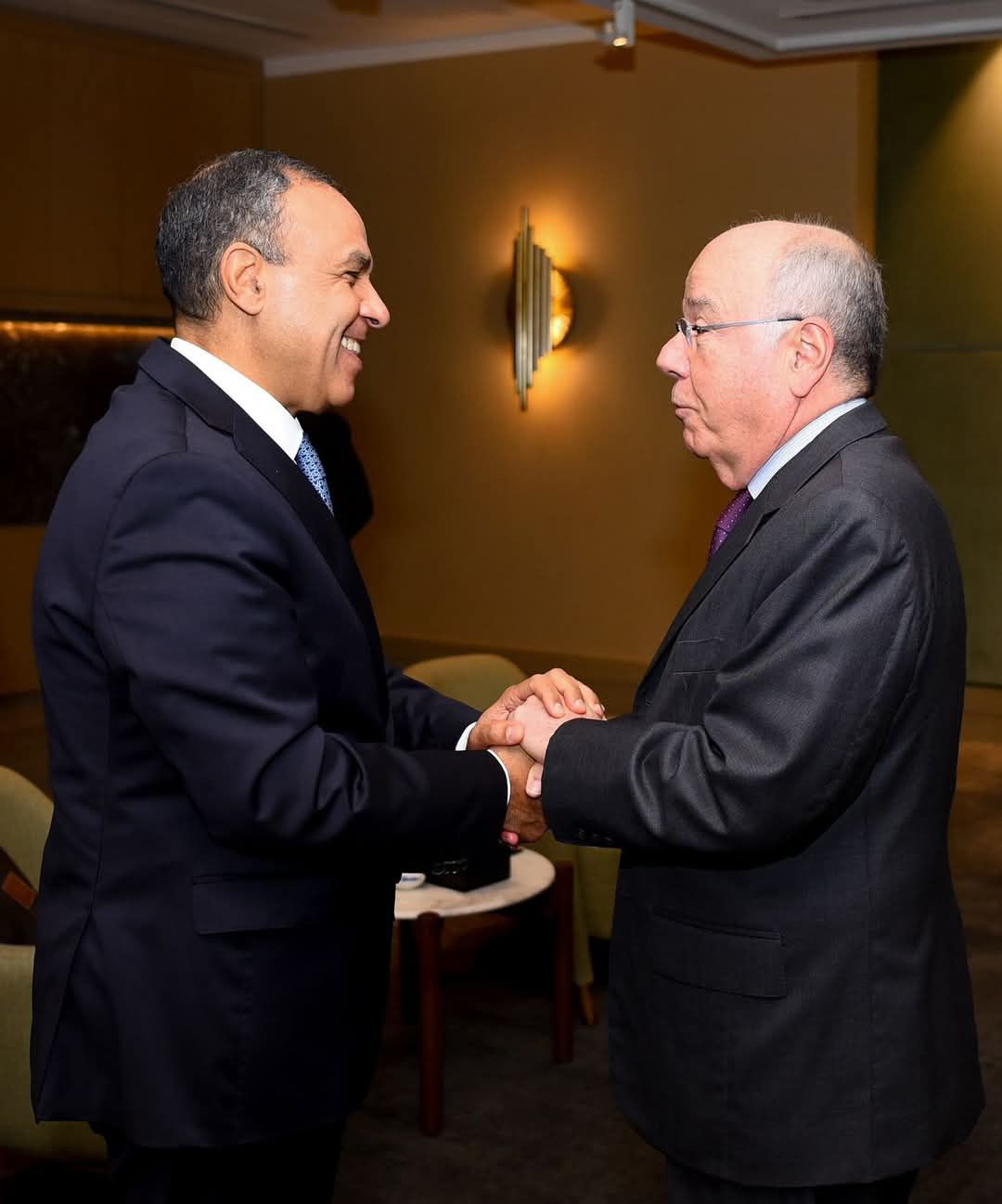 وزير خارجية البرازيل: نثمن جهود مصر في خفض التصعيد وتسوية الأزمات عبر الوسائل السلمية - الخليج الان