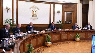 رئيس الوزراء يوجه بالإعلان عن مبادرة تحفيزية للمصانع والمنازل للتحول إلى الطاقة الشمسية - الخليج الان