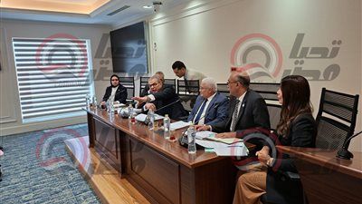 مش جايين نبصم على قوانين.. رئيس قوى النواب ينفعل على وكيل اللجنة بسبب قانون المعاشات - الخليج الان