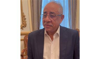 الاقتراض يكون للضرورة..طلعت خليل بمؤتمر الحركة المدنية الاقتصادي لـ تليجراف الخليج: محتاجين وضع توصيات خاصة بالدين - الخليج الان