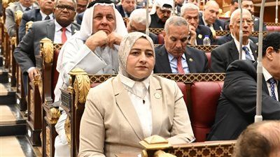 مروة قنصوه: اختيار مصر مقراً دائماً لمشغل سوق الكهرباء بشرق أفريقيا يعكس الثقة الدولية في قدرات الدولة المصرية وريادتها الإقليمية - الخليج الان