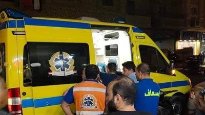 ننشر اسماء المصابين في حادث سير مروع بصحراوي المنيا الغربي - الخليج الان