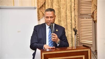النائب محمد حمزة: زيارة الرئيس السيسي للإمارات تؤكد أن أمن الخليج جزء لا يتجزأ من الأمن القومي المصري - الخليج الان
