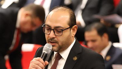 النائب محمد مصطفى كشر: زيارة الرئيس السيسي للإمارات رسالة حاسمة برفض تهديد أمن الخليج - الخليج الان