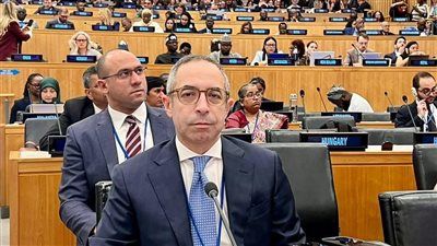 ​مصر تشارك في المنتدى الدولي الثاني لمراجعة تنفيذ أهداف ميثاق الهجرة العالمي - الخليج الان