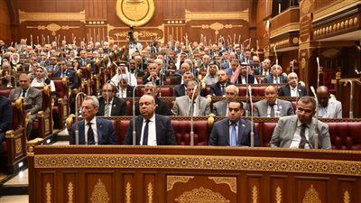 وكيل اقتصادية الشيوخ تطالب بمراجعة تسعير أسعار رحلات الطيران - الخليج الان