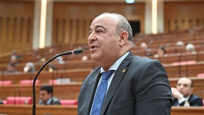 النائب مجدي مرشد لـ تليجراف الخليج: الصندوق التكافلي يواكب قانون الأحوال الشخصية ويعزز حقوق الأسرة - الخليج الان