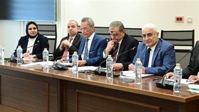 عاملة النواب تناقش أزمة المعاشات وتعطل السيستم الجديد بهيئة التأمينات..الاثنين المقبل - الخليج الان