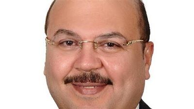 ميشيل الجمل: مشروع الدلتا الجديدة يعزز قدرة الاقتصاد الوطني على مواجهة التحديات العالمية - الخليج الان