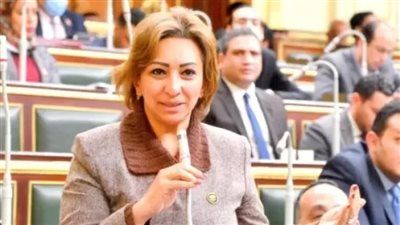 النائبة مها عبد الناصر لـ تليجراف الخليج: الإنترنت لم يعد رفاهية.. ويجب دعمه لمحدودي الدخل وربطه بحق التعليم - الخليج الان