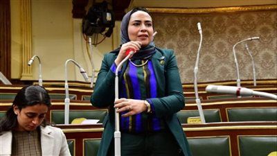 النائبة سارة النحاس تقدم طلب إحاطة بشأن ضبط الرسائل الصحية ومواجهة المعلومات المضللة للمواطنين - الخليج الان