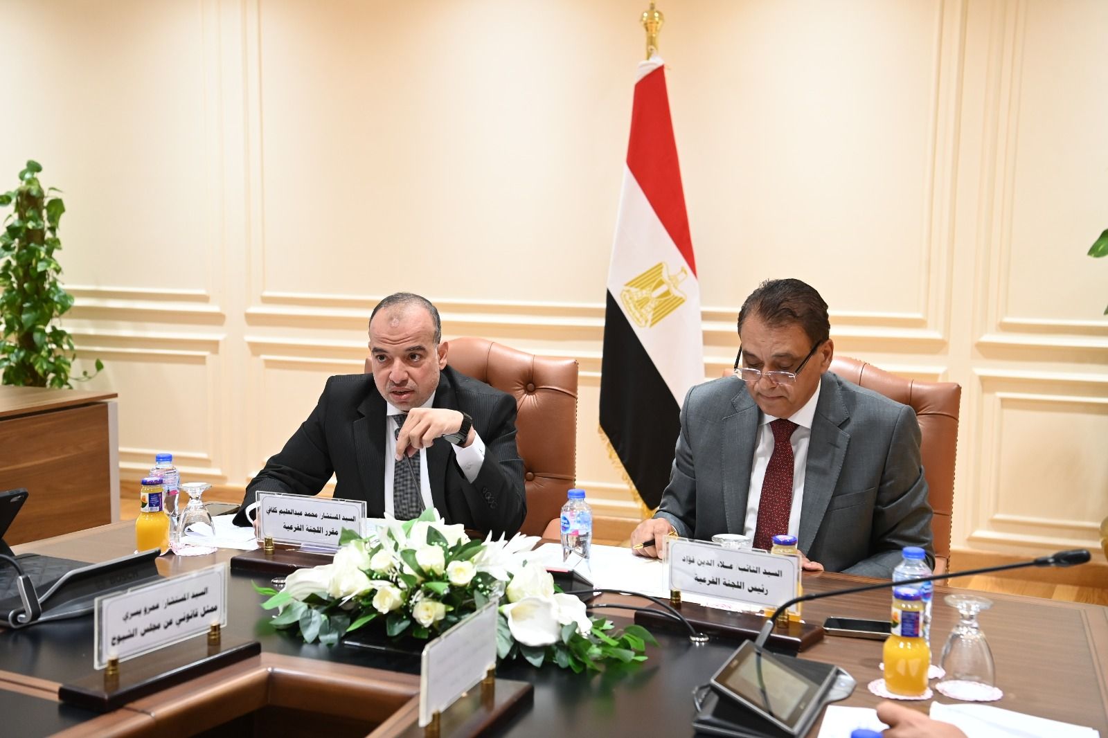 اللجنة الفرعية للإدارة المحلية توافق على فصل التشريع إلى قانونين للوحدات المحلية وانتخابات المجالس - الخليج الان