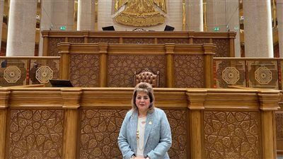 تحرك برلماني لمواجهة خطر الكلاب الضالة وحماية المواطنين من حوادث العقر - الخليج الان