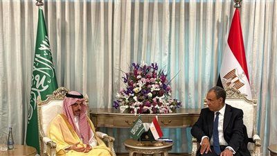 «تنسيق مشترك».. وزيرا خارجية مصر والسعودية يؤكدان ضرورة تجنب التصعيد غير المحسوب في المنطقة - الخليج الان