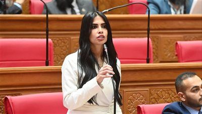 سؤال برلماني بسبب غياب دور وزارة الاتصالات في مواجهة الغش الإلكتروني بامتحانات الثانوية العامة - الخليج الان