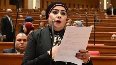 النائبة جيهان شاهين في اليوم العالمي لحفظة السلام: نعتز بالدور المصري في دعم الأمن والسلم الدوليين - الخليج الان