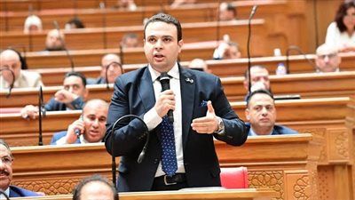 عبد المنعم إمام يهاجم أزمة تأخر صرف المعاشات: جرّبوا الحكومة 6 أشهر دون رواتب وشوفوا هتتصرف إزاي - الخليج الان