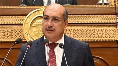 برلمانية الشعب الجمهوري: خطة التنمية الاقتصادية تمثل خطوة مهمة في مسار التخطيط التنموي للدولة - الخليج الان
