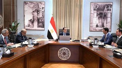 رئيس الوزراء يكلف بعرض الصورة النهائية لمبادرة تشجيع تركيب الواح الطاقة الشمسية بالمصانع والمنازل - الخليج الان