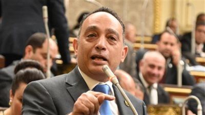 النائب فريدي البياضي: أرفض التحول للدعم النقدي بالكامل.. وضبط المنظومة أفضل من إلغائها - الخليج الان
