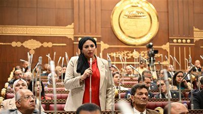 شيرين صبري تطالب الحكومة بسيناريوهات لمواجهة التضخم والاضطرابات الإقليمية - الخليج الان